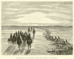 Landmarks of the route across the Pampas to Arequipa by Edouard Riou